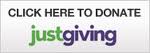 Donation Online button